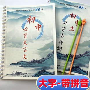 小学生初中生必背古诗85首文言文40大字版小升初课标同步789年级