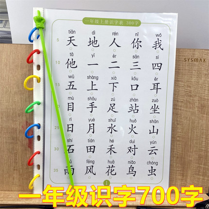 幼儿识字启蒙一年级700字大字拼音版闪卡片幼儿防水活页袋A4尺寸