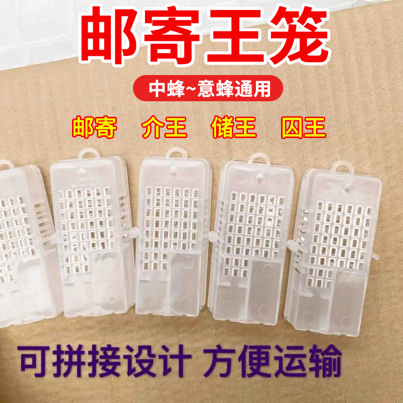 防蜂王逃跑扣蜜蜂王笼邮寄王笼