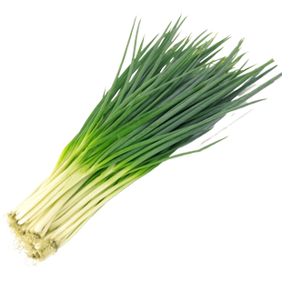 蔬菜种子官方旗舰店适合9月份种的菜2025今年新种籽立秋后什么