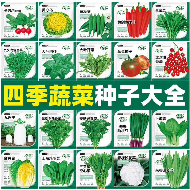 四季蔬菜种子大全优质秋播菜籽