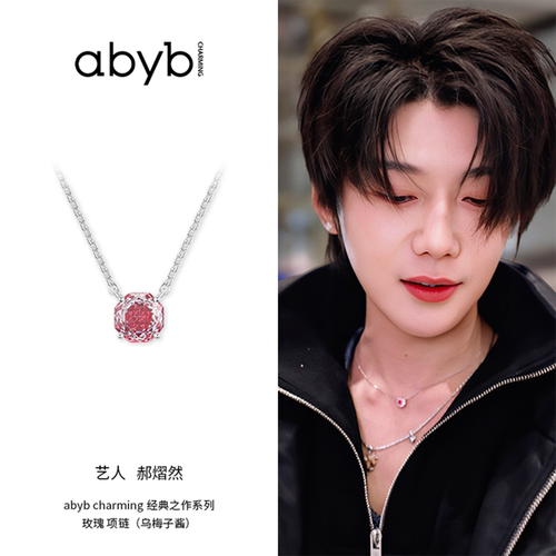 郝熠然同款abyb玫瑰项链S925银锁骨链银饰轻奢颈链简约精致礼物