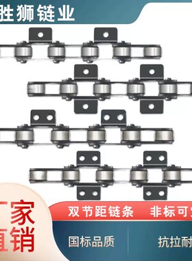 P100双节距链条打包机链条P75P150P200非标定做链板线链条废纸