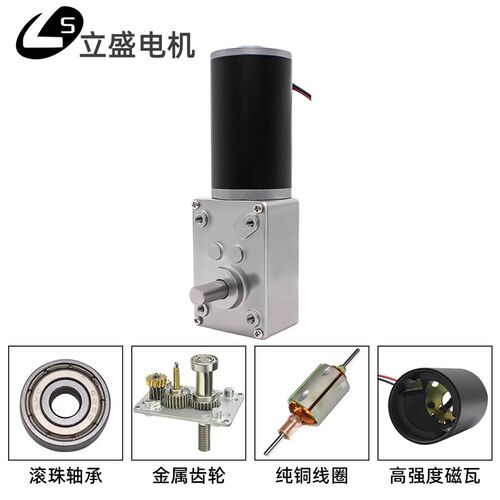 5840-36ZY直流减速电机微型自锁涡轮蜗杆调速低速马达12V24V