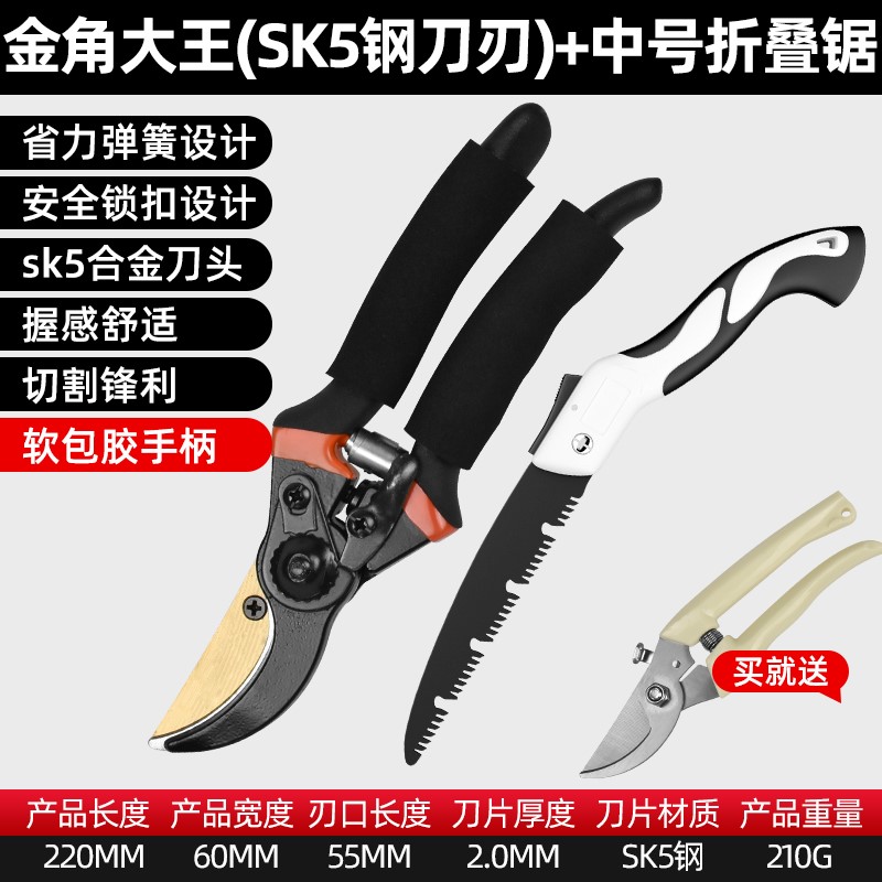 德国进口剪树枝专用剪刀园艺果树修枝剪sk5粗枝修花省力剪子园林