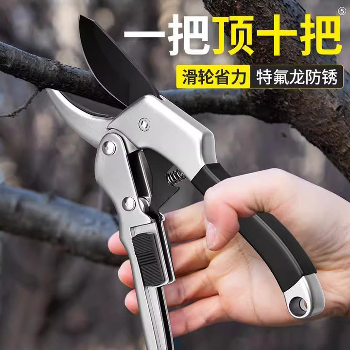 剪树枝专用剪刀果树修枝剪家用剪子修花木剪园艺园林省力粗枝剪刀