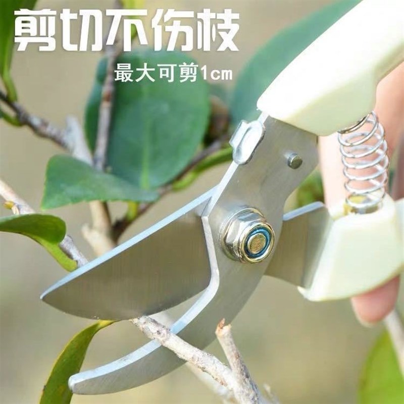 家用果树剪刀修枝神器剪花卉摘果剪树枝剪刀绿化嫁接园林园艺剪刀