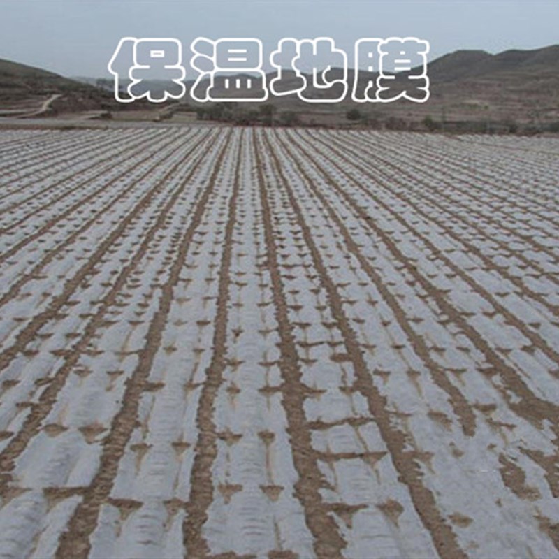 塑料薄膜大棚膜进口无滴膜纯黑膜养殖黑白膜po聚乙烯薄膜保暖封窗