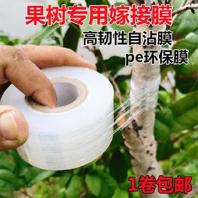 嫁接膜专用膜果树白色缠绕膜荔枝薄膜核桃3公分盆景树桩pe膜交接