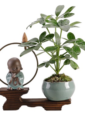 小和尚茶宠倒流香中式禅意