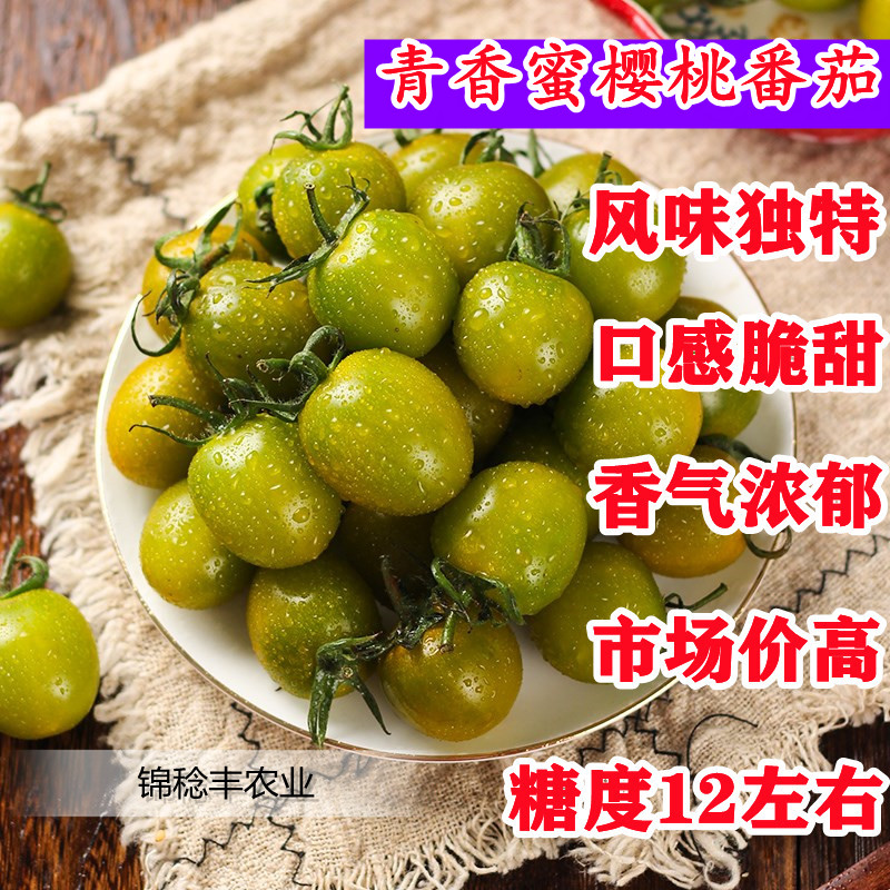 青香蜜小番茄种子特色绿色圣女果种籽脆甜糖度高口感好四季蔬菜籽