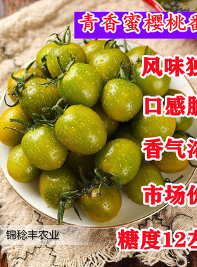 青香蜜小番茄种子特色绿色圣女果种籽脆甜糖度高口感好四季蔬菜籽