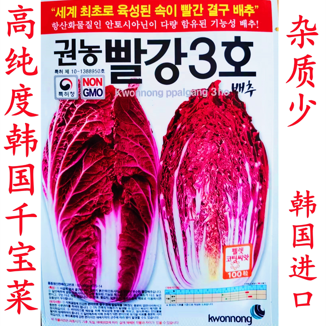 韩国紫白菜种孑红色大白菜种子秋天冬季稀有非转基因千宝菜蔬菜籽