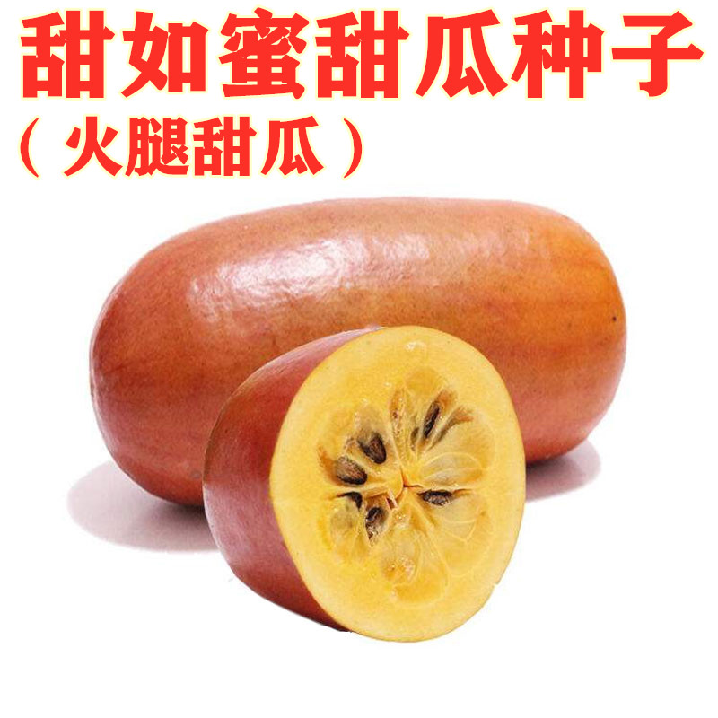 南美火腿甜瓜种子甜如蜜香瓜甜瓜种籽高产特大香甜水果春季夏四季