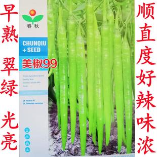 顺直长线椒种子香辣王湖南辣椒种籽杭椒超长美椒99春夏秋冬四季播