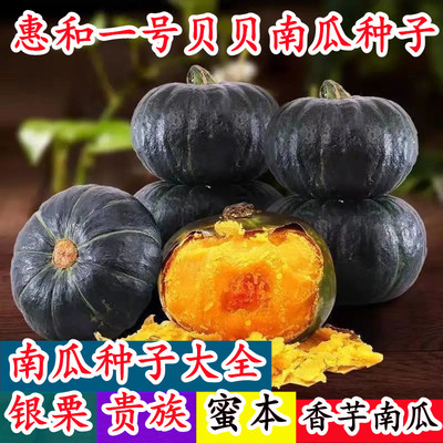 贝贝奶油板栗味粉面糯香南瓜种子