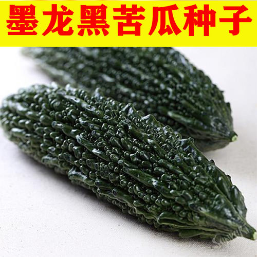 黑珍珠苦瓜种子疙瘩黑苦瓜种籽墨绿青菜台湾四季春夏秋冬大田盆栽