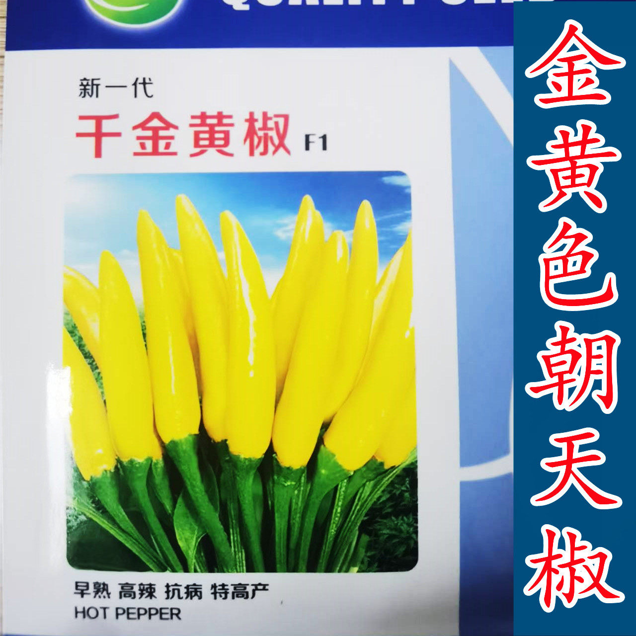 朝天黄小辣椒种子 千金黄椒朝天椒 农家小米辣高抗病辣椒籽孑大全