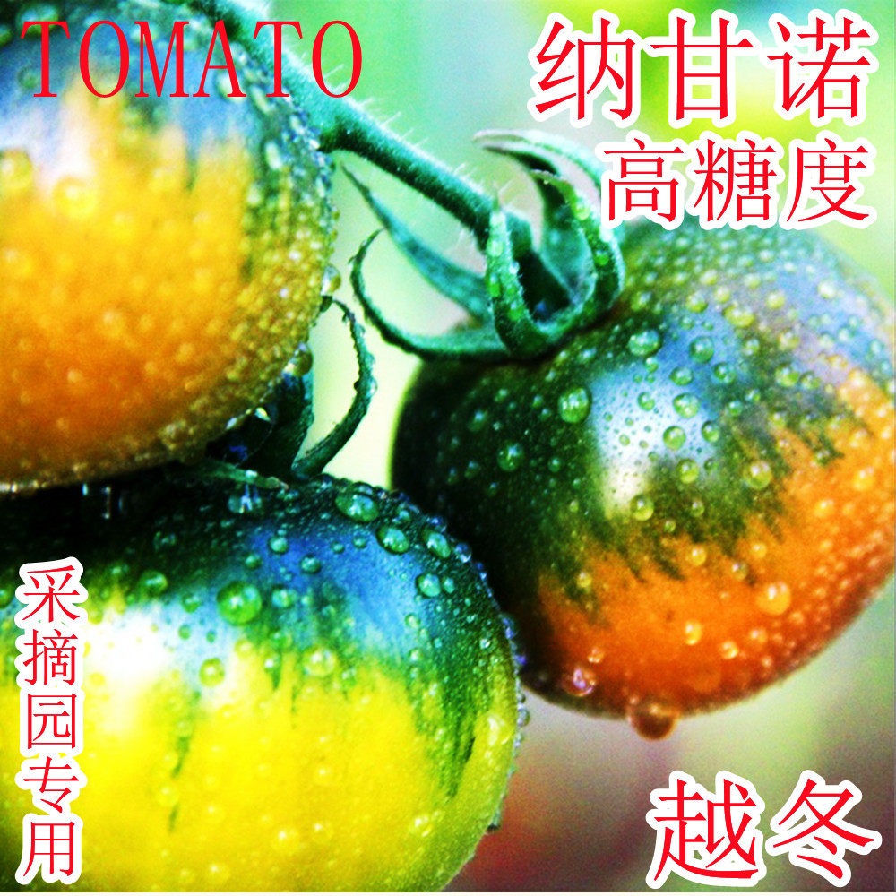 纳甘诺高糖草莓番茄铁皮柿子越冬耐寒丹东铁皮京采8号绿腚种子籽,农用物资,蔬菜种子/种苗,淘宝优惠券,粉丝福利购,淘宝优惠卷