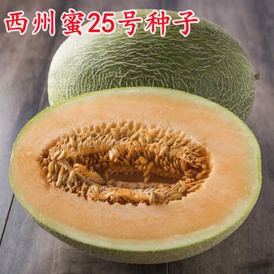 西州蜜25网纹甜瓜种子