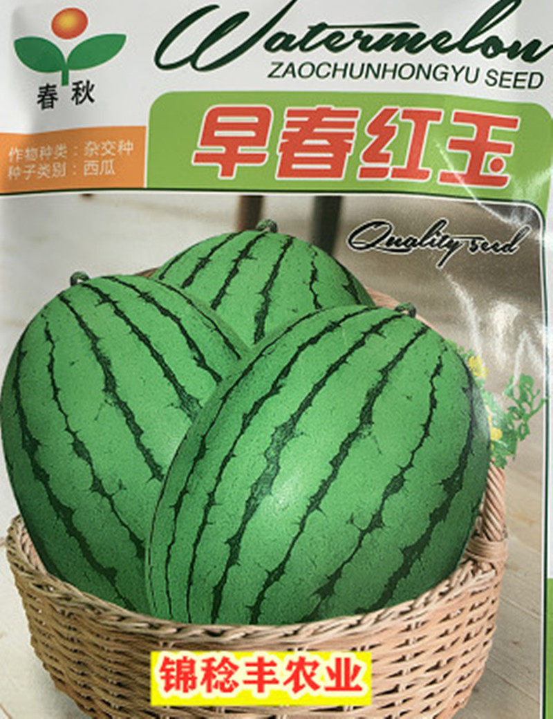 进口礼品西瓜 早春红玉小西瓜种籽 日本红玉 大面积种植 甜度高