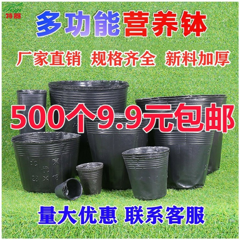 加厚营养钵育苗盆黑色果树育苗袋塑料一次性种植袋花盆育苗杯 Изображение 1 加厚营养钵育苗盆黑色果树育苗袋塑料一次性种植袋花盆育苗杯 Изображение 1