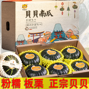 绿贝贝南瓜金粉一号正宗叁色栗栗南瓜板栗味糯粉面甜红魔金贝贝三