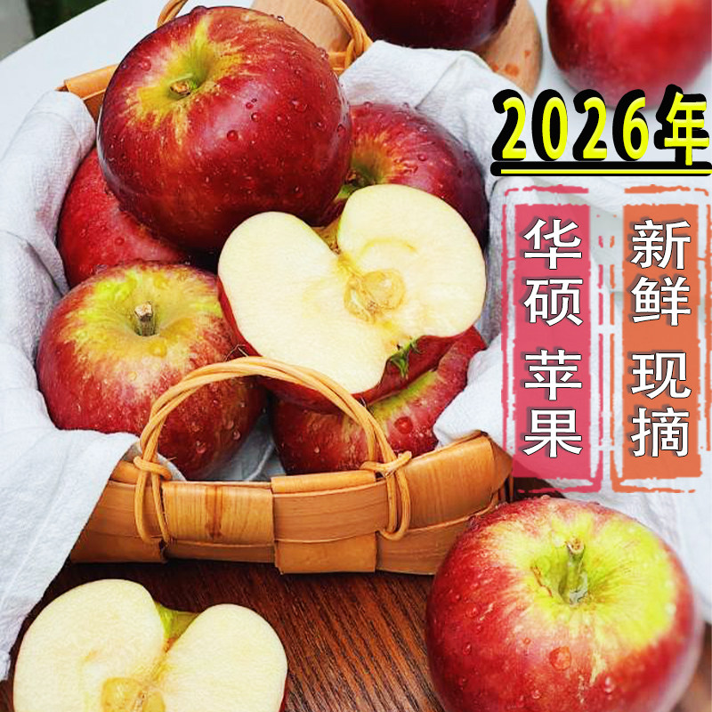 2026年华硕苹果 新鲜现摘 当季云南石林夏露礼盒苹果冰糖心红露小