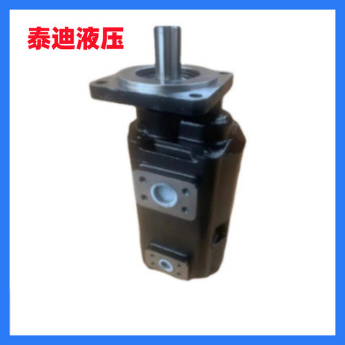 JHP2100/0016双联齿轮泵 柳工856转向泵 11C1068