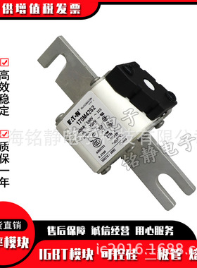 170M3986 170M3987 170M3988 170M3989 170M3990熔断器170M3991