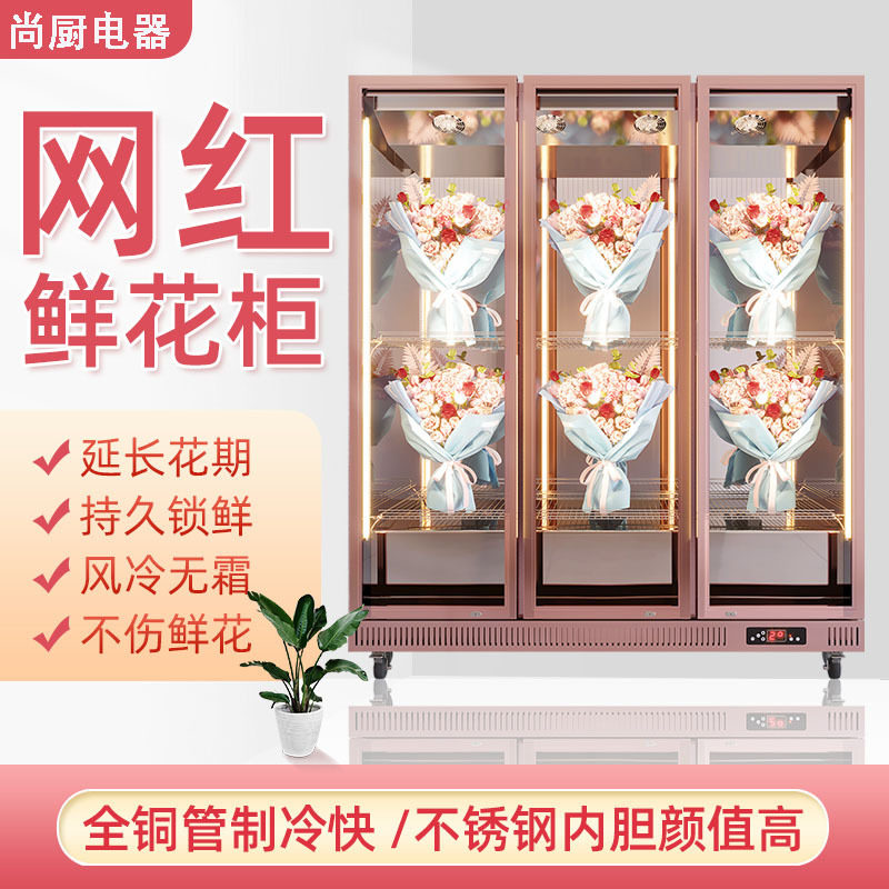 花店鲜花保鲜柜冷藏风冷立式双门花艺花柜鲜花店用展示柜冰箱冰柜,模玩/动漫/周边/娃圈三坑/桌游,文化/体育周边,淘宝优惠券,粉丝福利购,淘宝优惠卷
