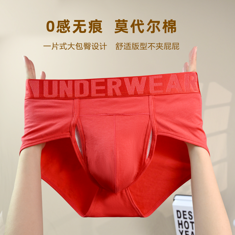 男士内裤莫代尔三角内裤男生大码