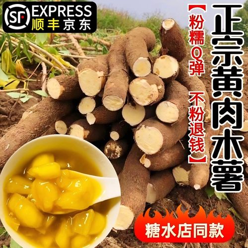 黄肉木薯广西粉糯Q弹2025新货