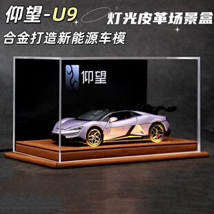 仰望U9新款合金车模玩具新能源跑车汽车模型收藏版送男孩生日礼物