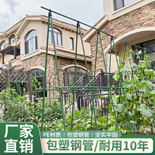 爬藤架黄瓜豆角种菜固定支撑杆子月季花架庭院户外园艺专用支架