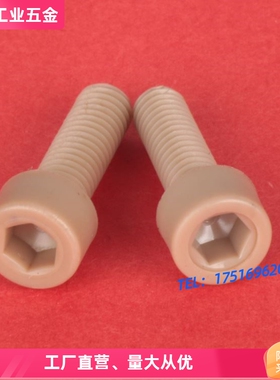 内六角树脂螺栓PEEK内六角圆柱头PEKB3-12 4 5 系列