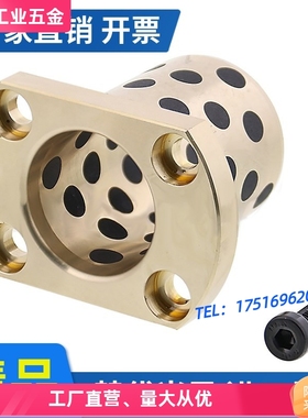 MPTZ MPTSZ MPTNZ25 30 35 40 50-30-35-40-50-60-70-80无油衬套