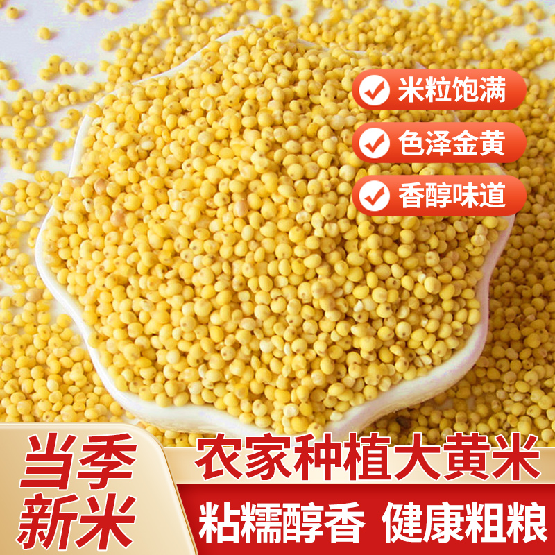 山西大黄米粘米新米黍米糯小米粘米粥粽子米黍子五谷新鲜500g