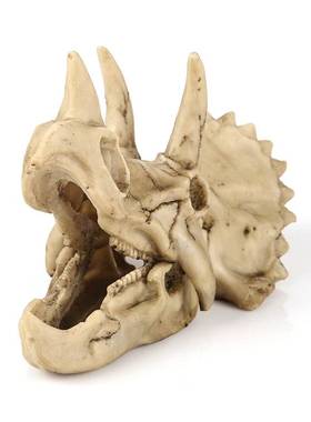 树脂骷髅头三角龙模型办公室摆件恐龙头骨模型学生科普动物骨架