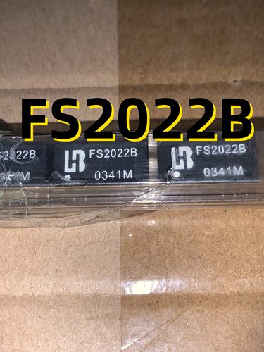FS2022B  03+ SOP-12  原装现货