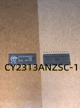 CY2313ANZSC-1  02+ SOP28  原装现货