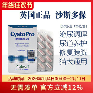英国cystopro沙斯多保犬泌尿结石利尿通尿频尿血膀胱炎尿路感染犬