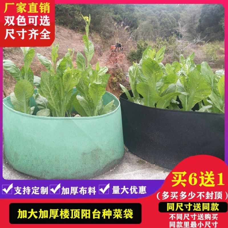 超大阳台种菜专用盆无纺布种植袋楼顶种菜箱种植箱家用泡沫箱种菜