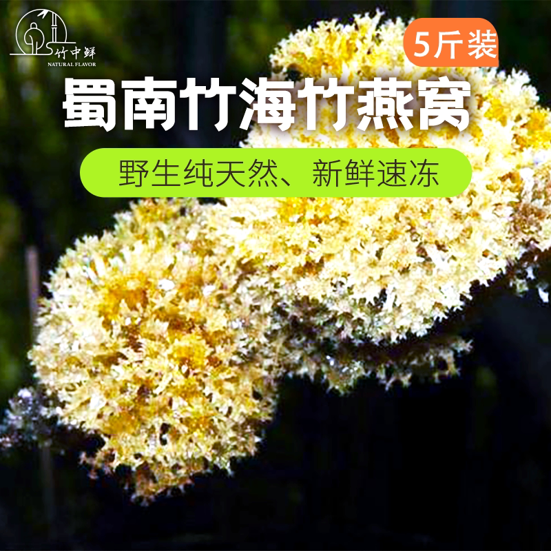 四川蜀南竹海长宁特产竹燕窝竹花竹菌纯天然野生食材5斤装