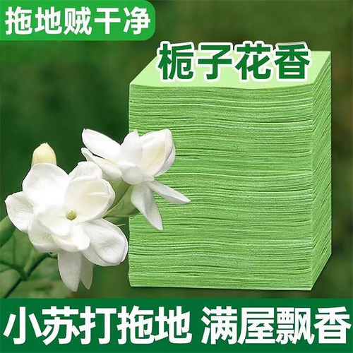 地板清洁片多效瓷砖强力去污家用擦地神器木地板地砖清洗剂地板B