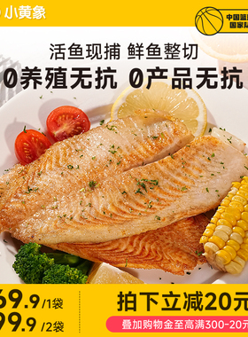 小黄象橄榄油香煎鱼排鱼排半成品高蛋白轻食主食鱼肉健身代餐