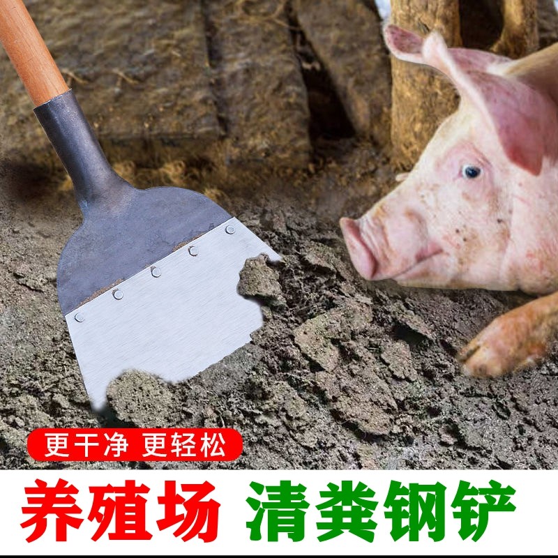 家用锰钢清洁铲大号清粪铲农用猪粪铲锯片钢铲墙皮铲子推鸡粪工具,鲜花速递/花卉仿真/绿植园艺,铲子,淘宝优惠券,粉丝福利购,淘宝优惠卷