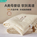 儿童大豆纤维被子宝宝新生婴儿纯棉幼儿园专用四季通用小被芯