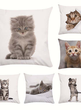 跨境可爱猫咪超柔抱枕套靠垫套速卖通亚马逊eabyCR180