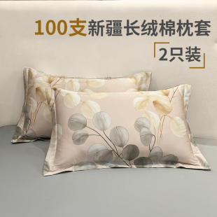 48X74cm纯棉双人春夏 100支新疆长绒棉全棉枕套一对装 2只装